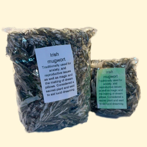 Irish Mugwort