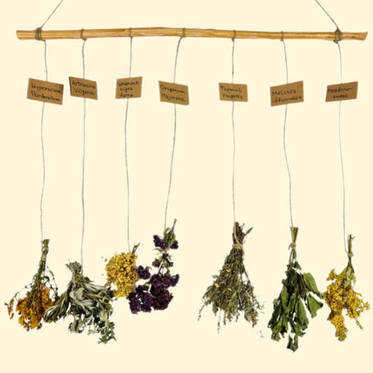 Dried Herb Wall Hanging