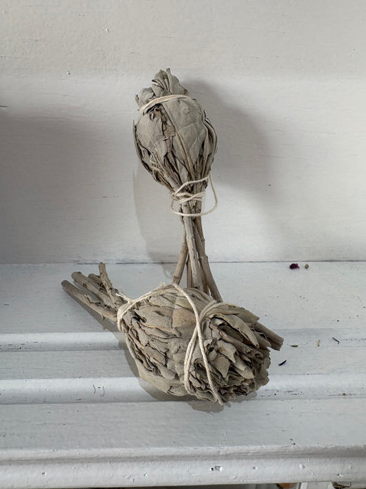 Organic White Sage